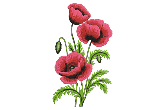 Blooming Red Poppy Flowers Embroidery Review