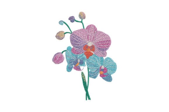 Bouquet Orchid: A Designer’s Seasonal Embroidery Review