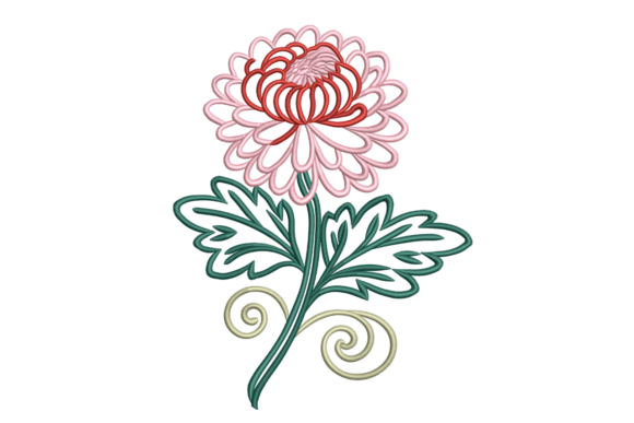 Chrysanthemum Flourish – A Designer's Review for Business Use